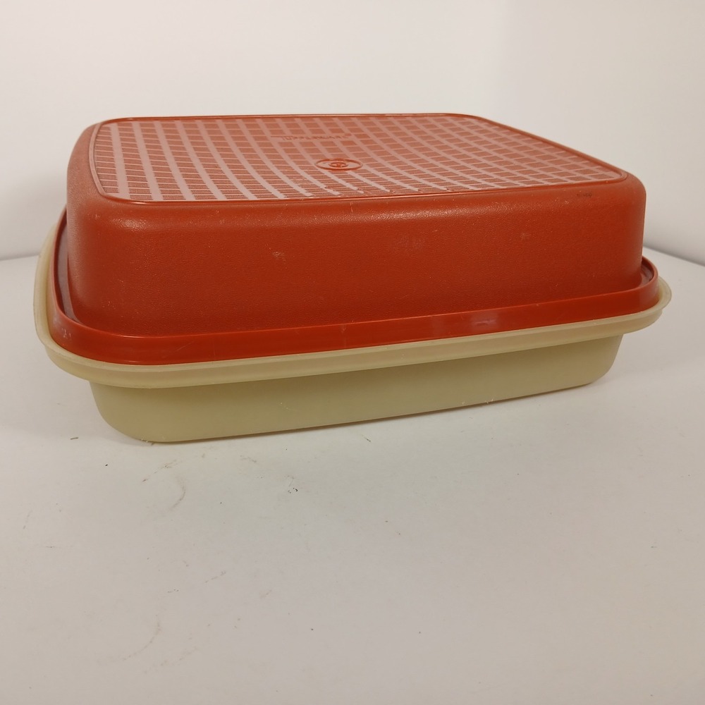 Vintage Tupperware Season N' Serve Paprika Meat Marinade Container 9 x 11